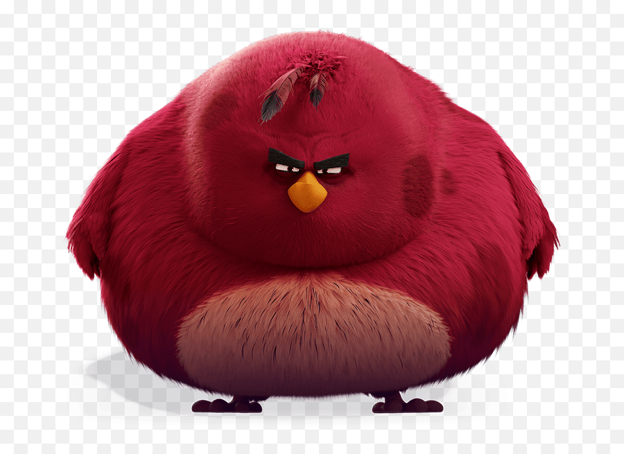 Kentu0027s Hooligan Libertarian Blog Whou0027s Angry - Angry Birds Movie Terence Png,Angry Person Png