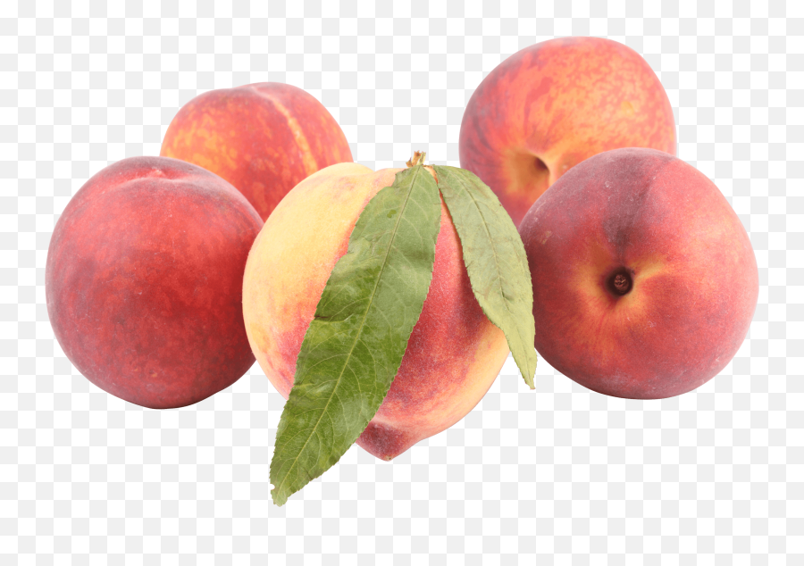 Png Background - Peaches Transparent Background,Peach Transparent Background