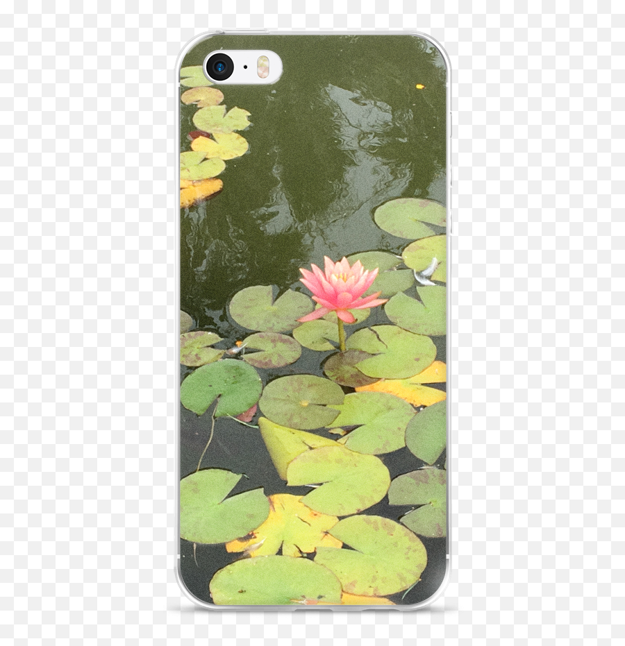 Iphone 7 Lily Pad - Sacred Lotus Png,Lily Pad Png