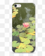 Iphone 7 Lily Pad - Sacred Lotus Png,Lily Pad Png