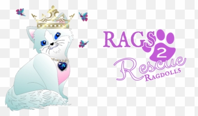 Application Ragdoll Cat Rescues - Girly Png,Ragdoll Logos