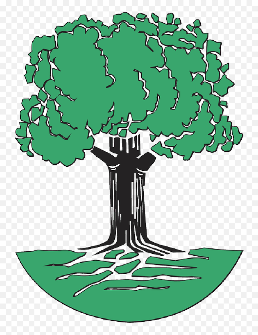 Green Tree Roots Cartoon Free Trees Plant Leaves - Oak Tree Clip Art Png,Tree Root Png