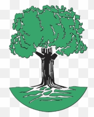 Green Tree Roots Cartoon Free Trees Plant Leaves - Oak Tree Clip Art png