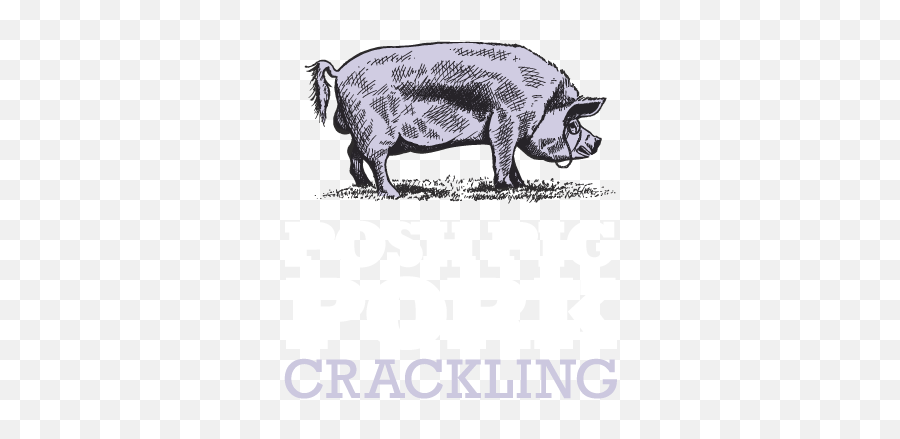 Posh Pig Pork Crackling - Scholar Academy Png,Perfectly Posh Png