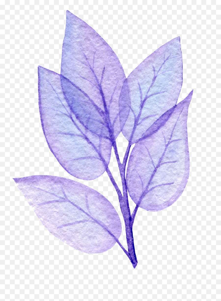 Transparent Purple Leaf No Line Tree Of Life Woman - Twig Png,Tree Of Life Transparent