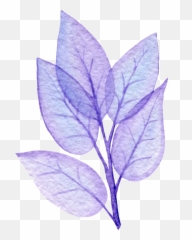 Transparent Purple Leaf No Line Tree Of Life Woman - Twig png