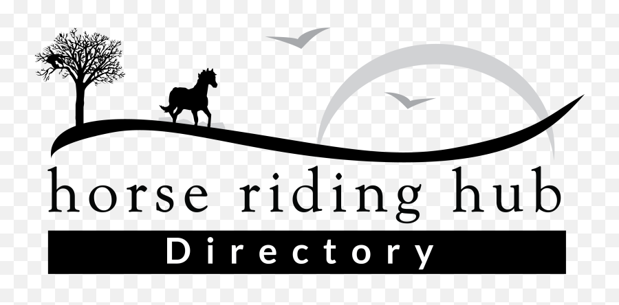 4213 U2013 Horse Riding Hub Directory - Language Png,Horse Rider Icon