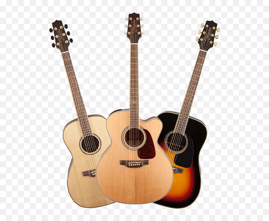 Takamine Guitars - Takamine Guitars Png,Acoustic Guitar Png