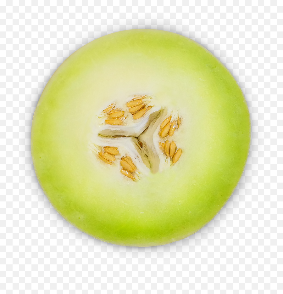 Sol Melons Png Cantaloupe