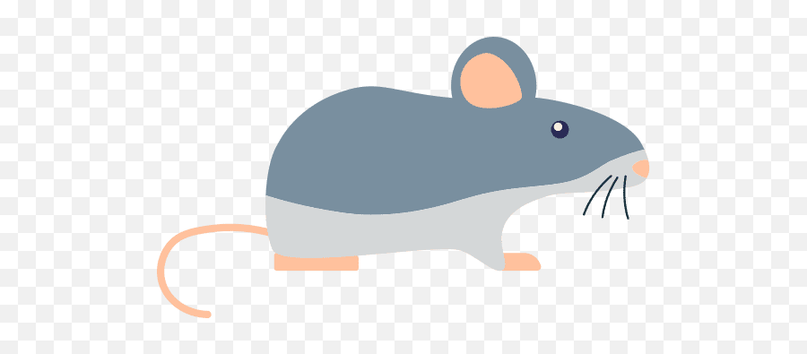 Aimagenarium U2013 Canva - Animal Figure Png,Rodent Icon