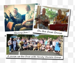 Ukulele Bedford News And Events - Leisure png