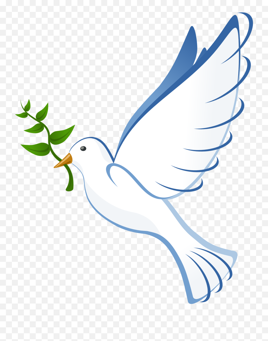 Peace Dove Transparent Png - Palomas De La Paz,Paloma Png