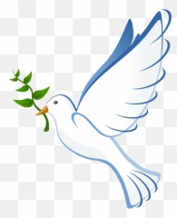 Peace Dove Transparent Png - Palomas De La Paz,Paloma Png