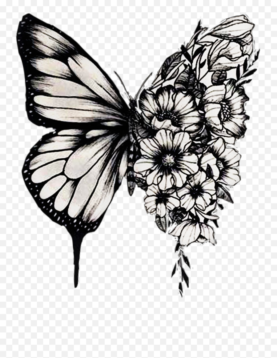 Interesting Tatooart Tat Tatoo - Shawn Mendes Butterfly Tattoo Drawing Png,Butterfly  Tattoo Png - free transparent png images 