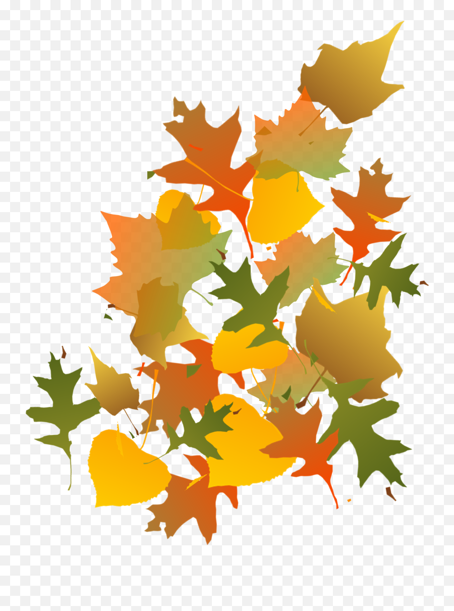 Download Hd Fall Leaves Image - Autumn Leaves Clip Art Autumn Leaves Clip Art Png,Autumn Leaves Transparent Background