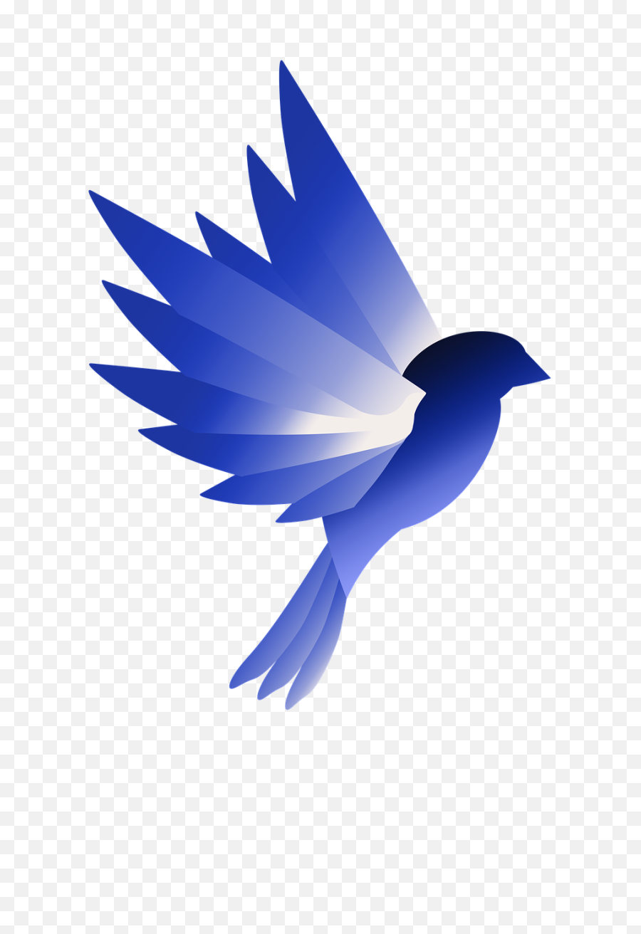 Logo Bird Blue - Swallow Png,Bird Logo