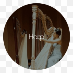 Services U2013 Eventos Musicaispro - Classical Music Png,Harp Png
