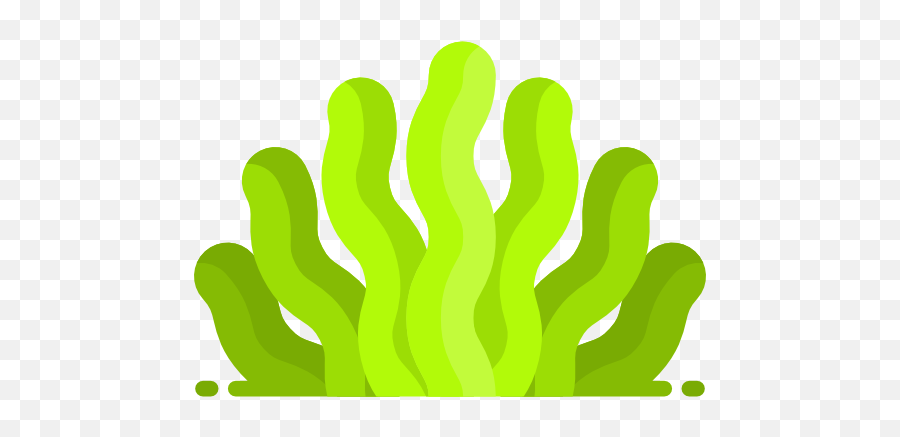 Seaweed Png Picture - Transparent Background Seaweeds Clipart,Seaweed Png