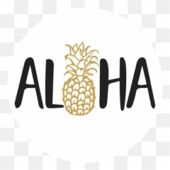 Icons Icon Logos Logo Tumblr Aloha Pineapple Pfp - Iphone Hintergrundbilder Aloha Png,Pineapple Logo