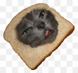 Nyan Cat Images Zombie Nayn Wallpaper And Background Photos - Cat Breading Png,Nyan Cat Transparent