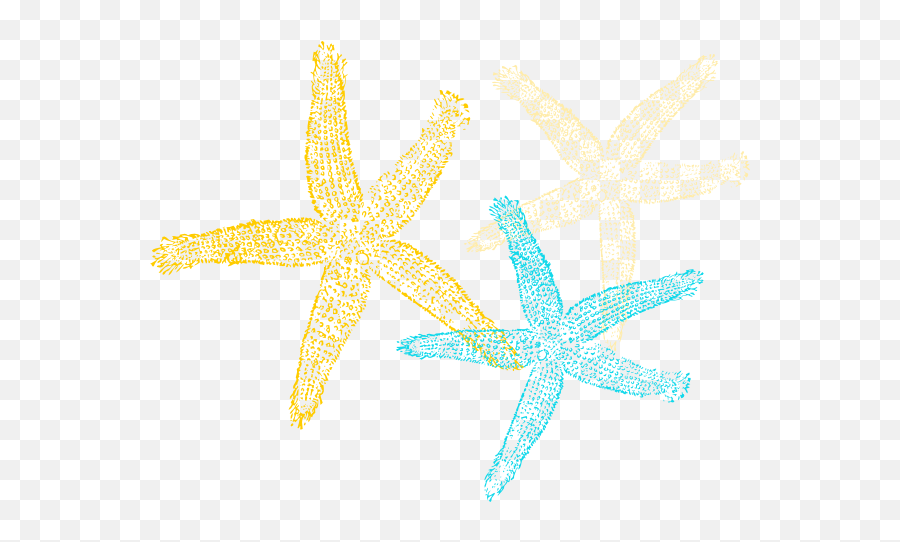 Sea Star Vector Png - Starfish,Sea Star Png