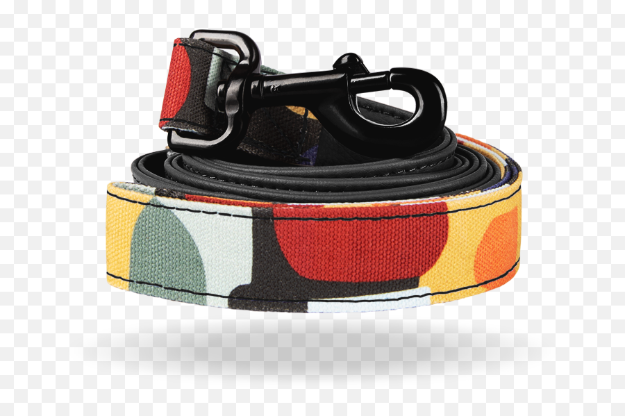 Dugan Leash - Leash Png,Leash Png