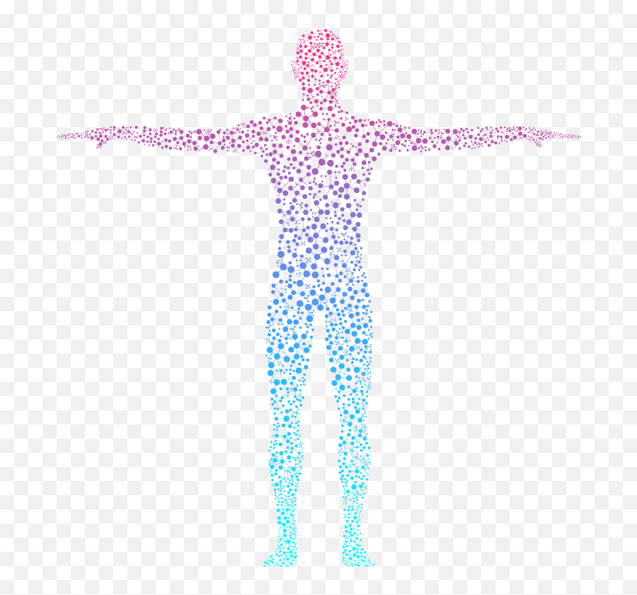 What Is Interoception Kelly Mahler - Human Body Png,Human Body Png