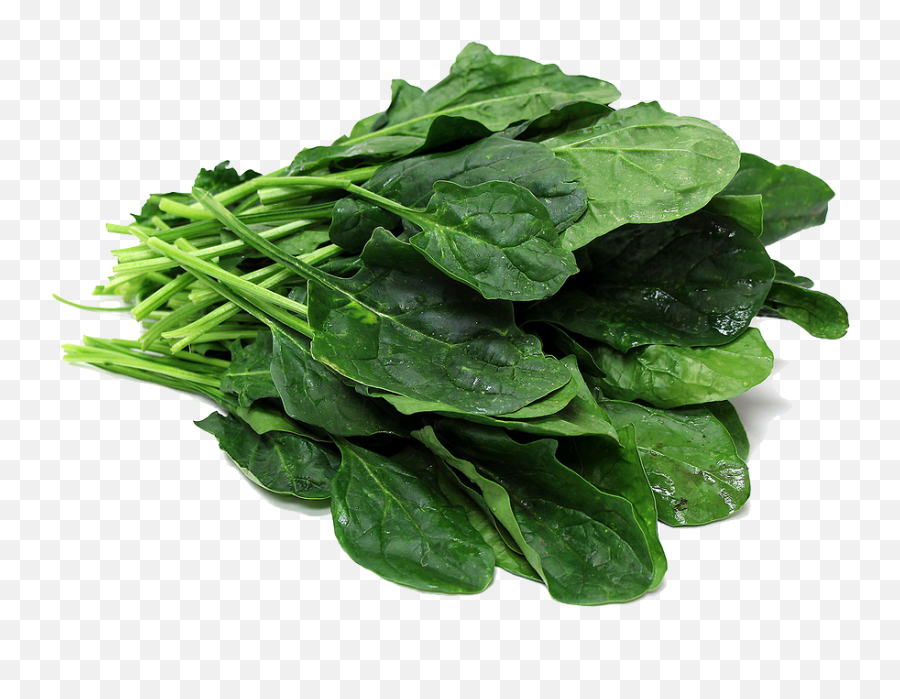 Download Spinach Png File - Spinach Png,Spinach Png