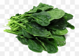 Download Spinach Png File - Spinach Png,Spinach Png