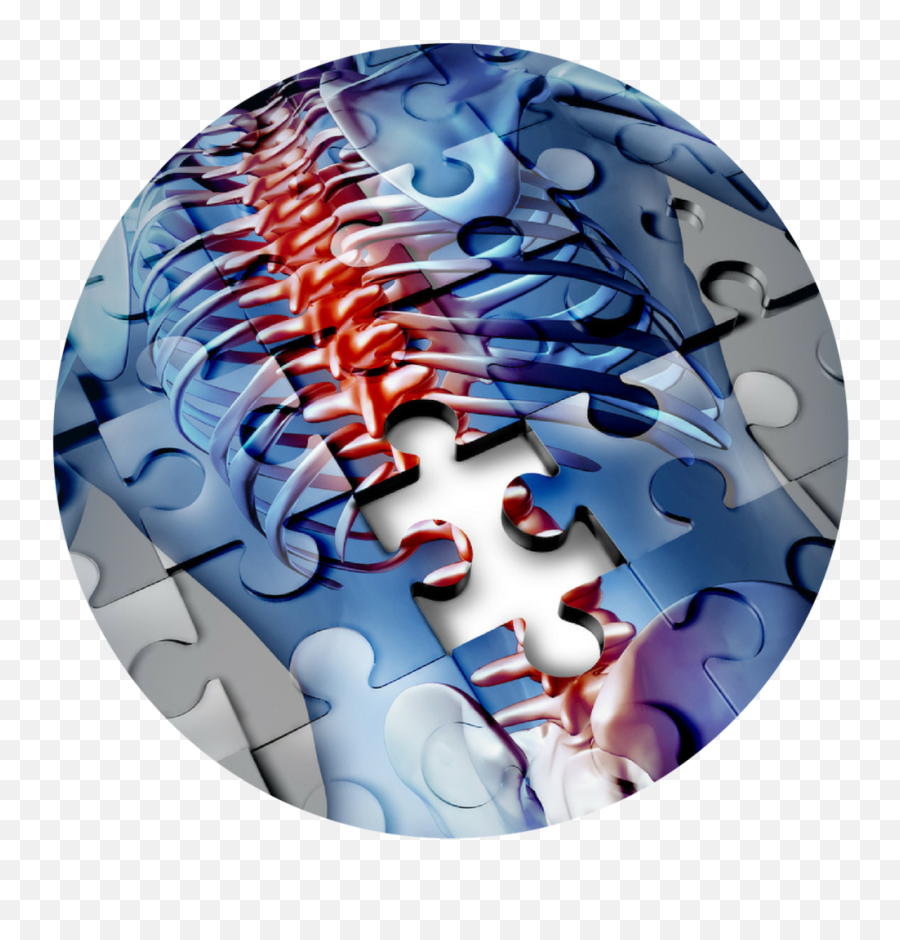 Revive Sport Spine - Tratamiento Del Dolor Crónico Png,Spine Png