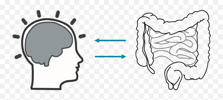 Understand The Gut - Brain Cartoon Black And White Png,Nervous System Png