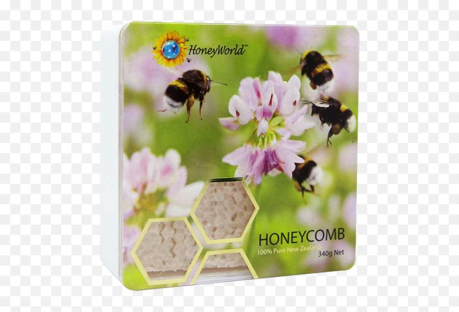 Clover Honeycomb 340g Png Honey Comb