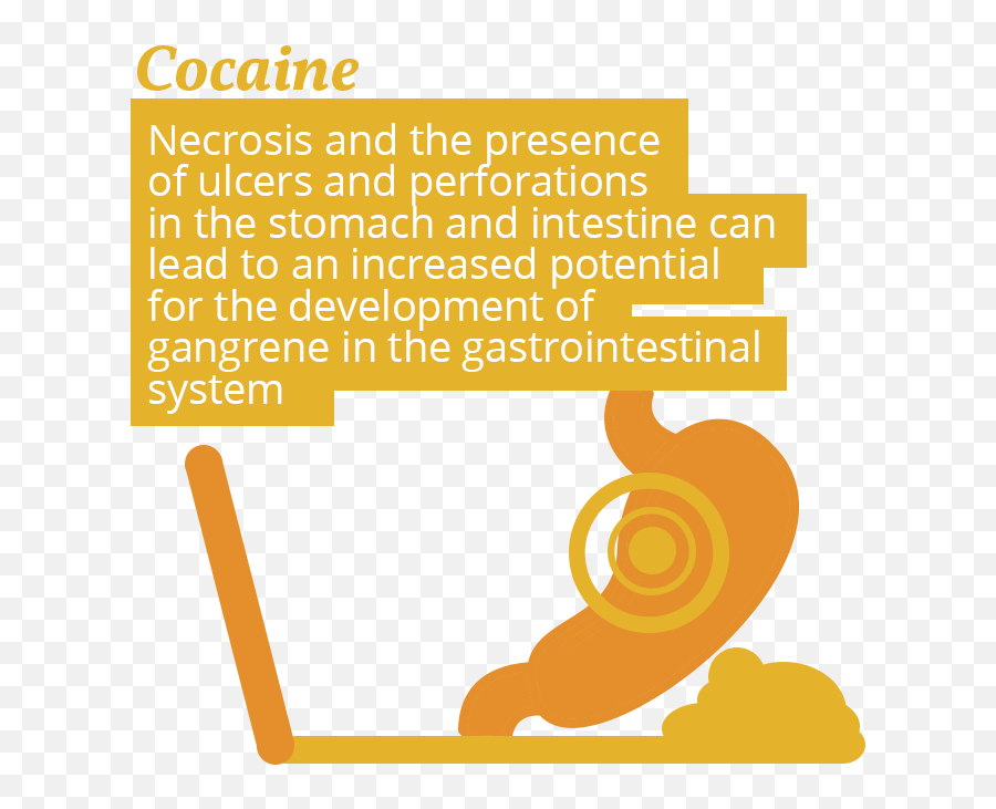 Stomach Png - Cocaine Use And Stomach Issues Atlas Avanti Communications,Stomach Png