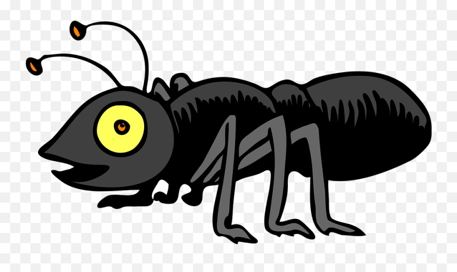 Termite Control In Nashville Is Serious - Free Ant Clip Art Png,Termite Png