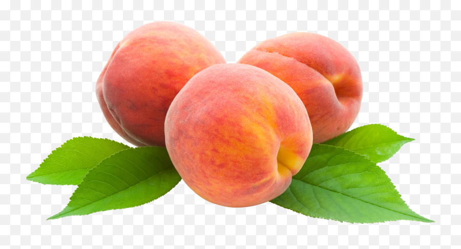 Peach Png Icon - Cartoon Picture Of Peaches,Peach Transparent Background