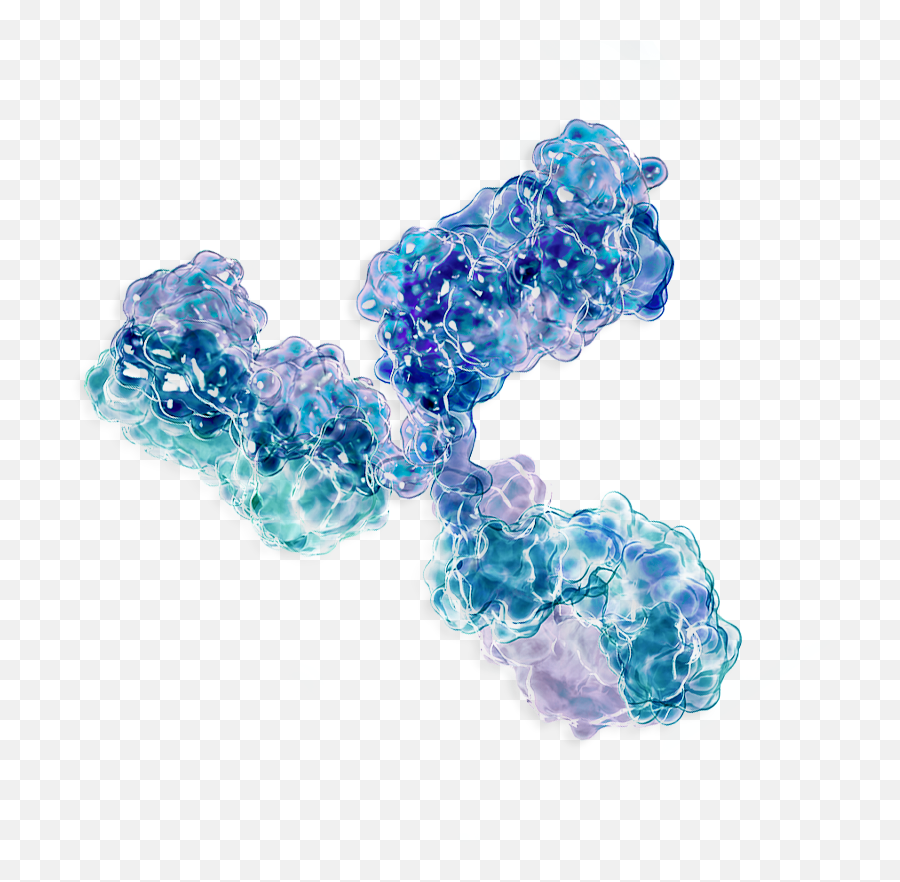 Covid - Antibodies Transparent Png,Antibody Png