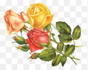 Yellow Roses Png Files - Vintage Mexican