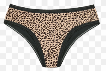 Period Panties Underwear - Tintern Abaty Tyndyrn png