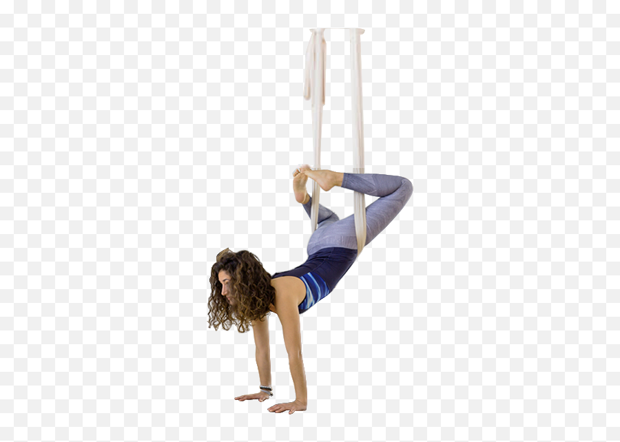 Aerial Fitness Management Software - Static Trapeze Png,Aerial Icon