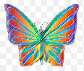Butterfly - Lycaenid png