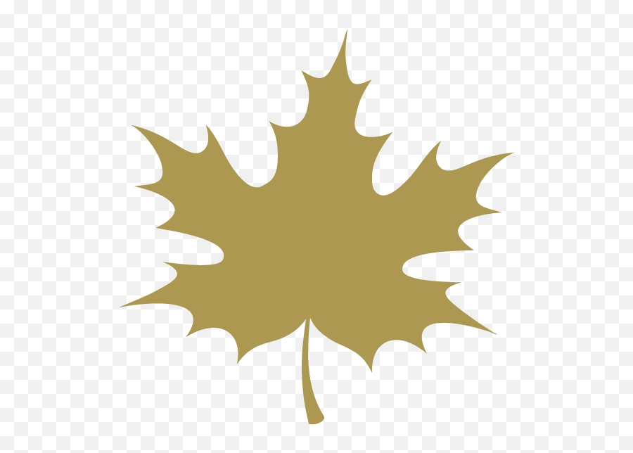 Download Hd Maple Leaf Icon Transparent Png Image - Nicepngcom Autumn Leaf Leaf Cartoon Transparent,Potleaf Icon
