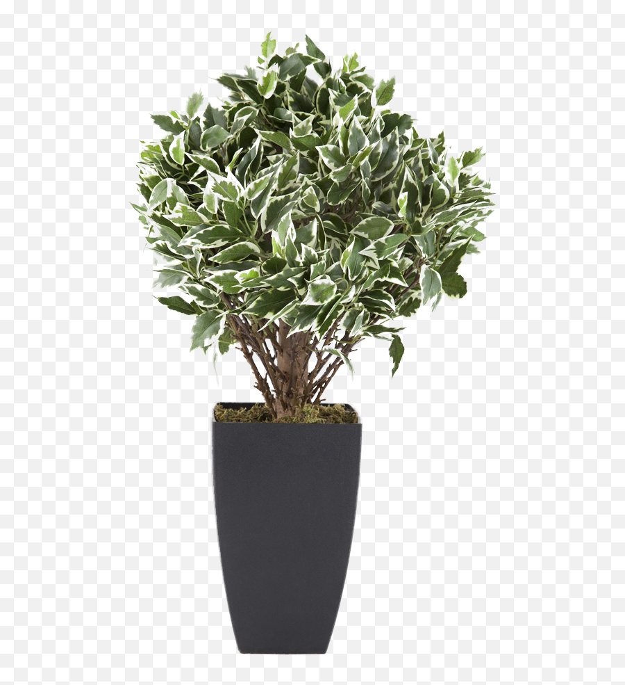 Flowerpot Houseplant Euclidean Vector Tree - Potted Plants Plant Pot Png Vector,Plant Png