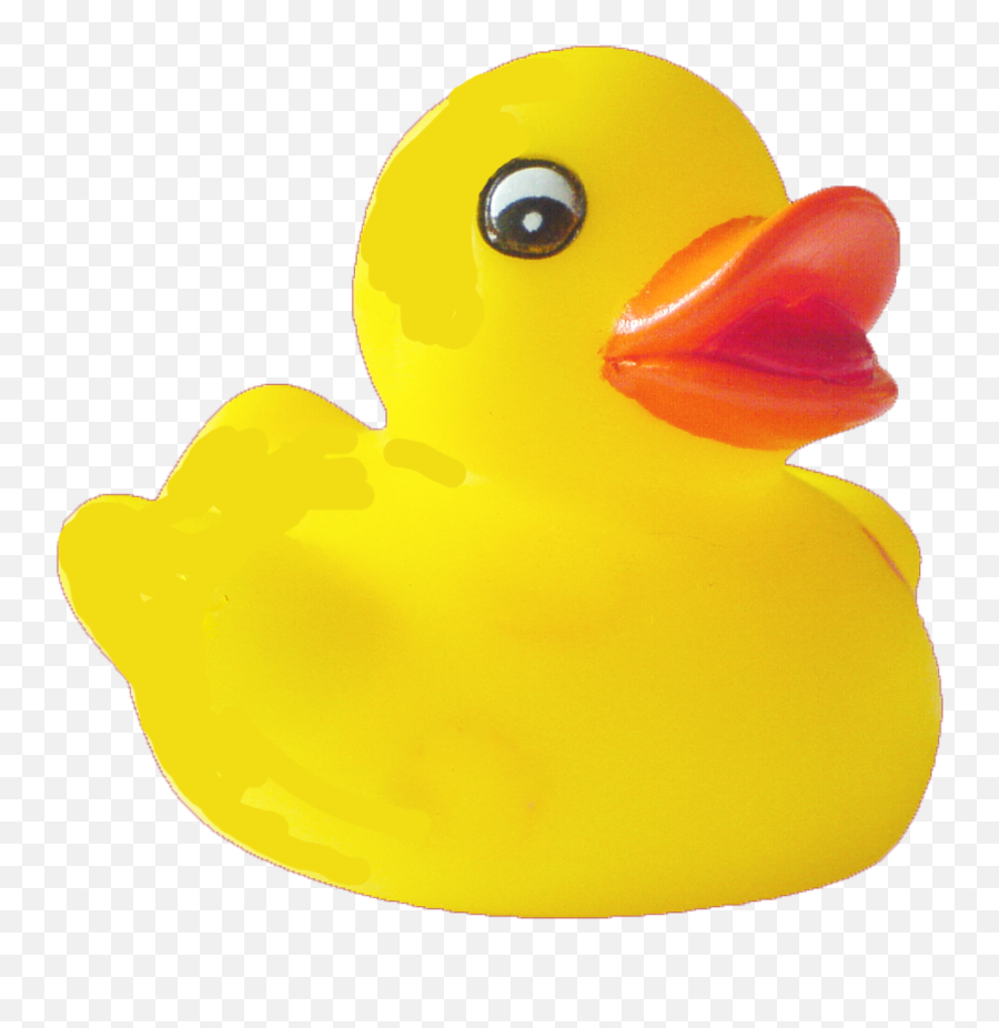 Download Duck Hq Png Image In Different - Rubber Duck No Background,Duck Png