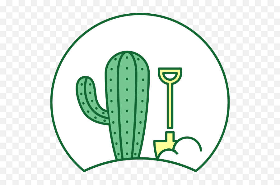 The Cactus Outlet - Healthy Cacti Succulent Plants From Our Cactus Png,Cactus Icon