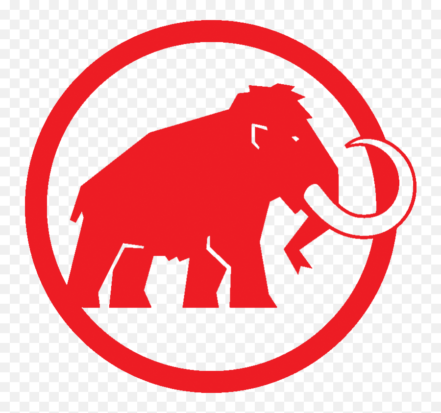 Mammut Barryvox S - Moosejaw Mammut Logo Png,Icon Patrol 2 Boots Review