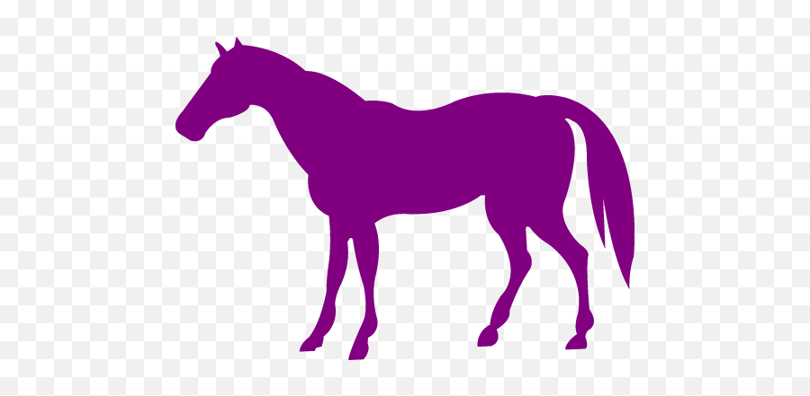 Purple Horse 4 Icon - Free Purple Animal Icons Horse And Pony Silhouette Png,Horses Icon