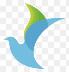 Paloma Png Images In Collection - Centro De Derechos Humanos Fray Francisco De Vitoria Logo,Paloma Png