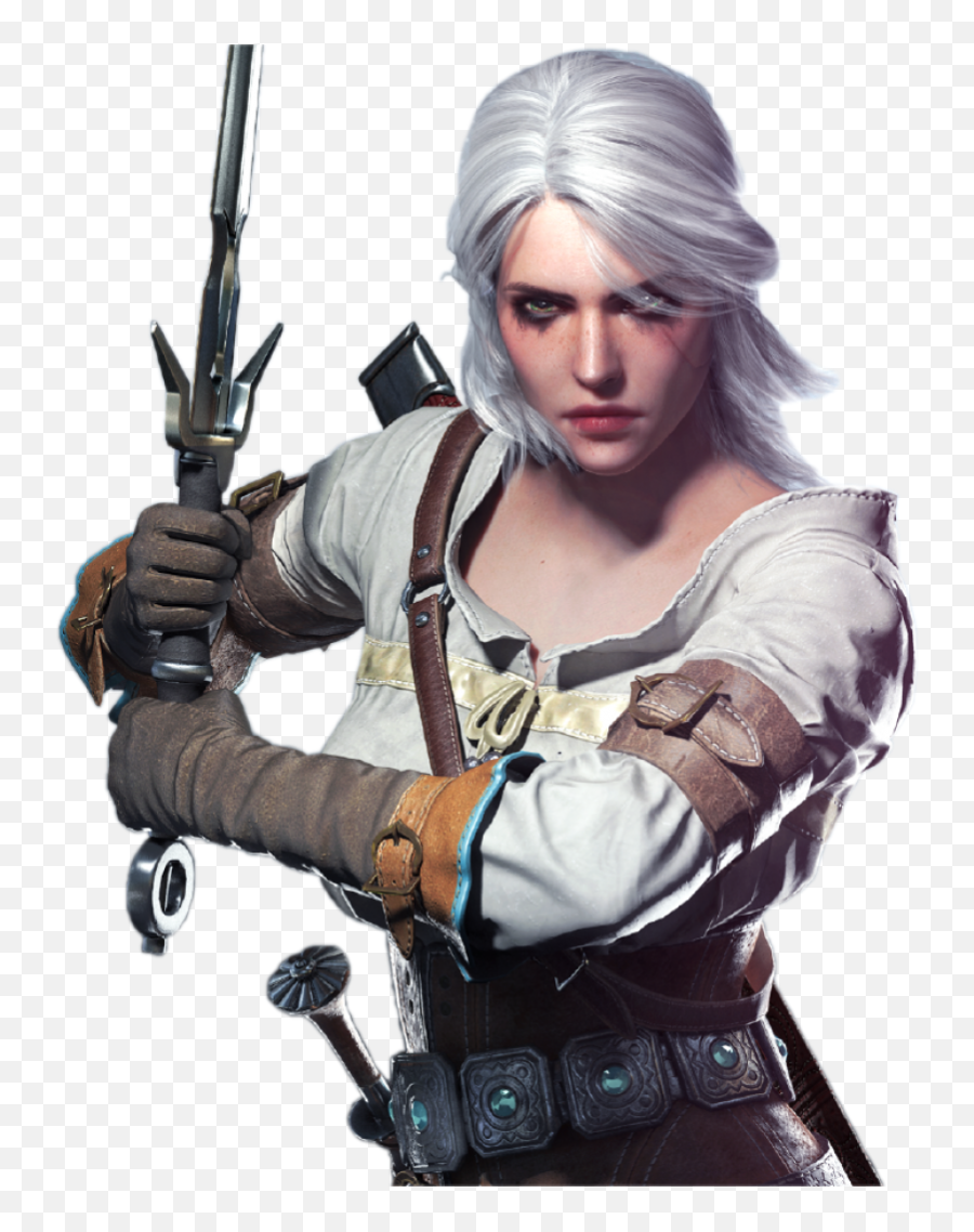 The Witcher Png Image
