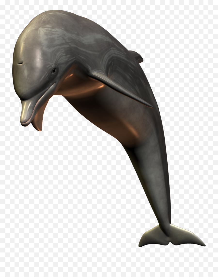 Download Free Png Dolphin - Dlpngcom Realistic Png Transparent Dolphine Clipart,Dolphin Clipart Png