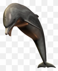Download Free Png Dolphin - Dlpngcom Realistic Png Transparent Dolphine Clipart,Dolphin Clipart Png